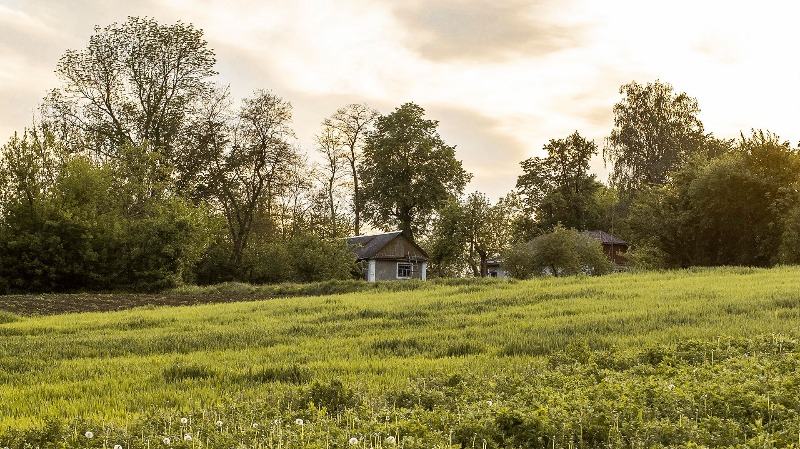 Fincas rústicas, parcelas y solares edificables